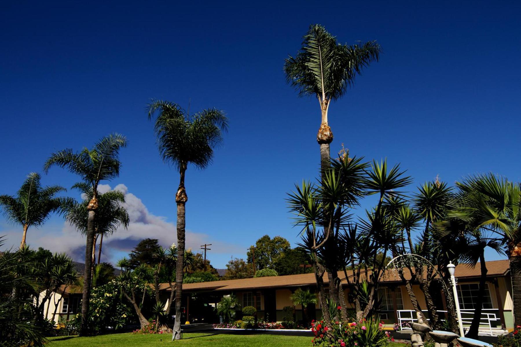 Palm Tropics Motel Glendora Exterior foto